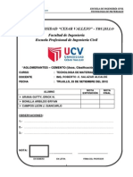 Informe Nº4 - Aglomerants Cemento