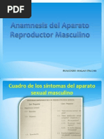 Anamnesis Del Aparato Reproductor Masculino-MAGGY