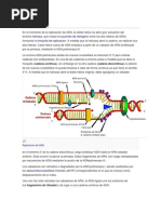 Proceso: Editar