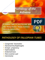 Pathology of The Adnexa