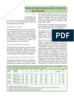 Requerimientos Nutricionales Del Cultivo de Banano Magnesio