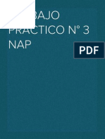 TRABAJO PRÁCTICO N° 3 Nap