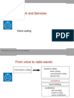 GSM Network and Services: Voice Coding
