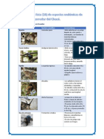 Especies Endémicas Del Corredor Del Chocó