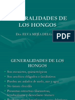 Generalidades de Los Hongos