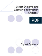 Expert Systems and Executive Information Systems