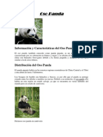 Oso Panda