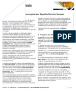 Excreção - Osmorregulação e Aparelho Excretor Humano