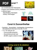 Coral Reefs7984