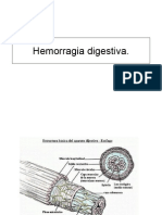 TS11B - HDigestiva 1