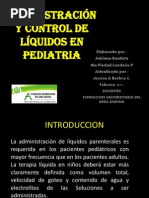 Admon y Control de Liqen Pediatria II Sem 2012