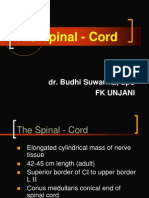 The Spinal - Cord: Dr. Budhi Suwarma, Sps FK Unjani