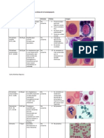 Cuadroparadiferenciarlasclulasinmadurasdelahematopoyesis 130131211403 Phpapp01