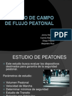 Estudio de Campo de Flujo Peatonal