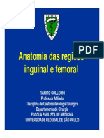 Anatomia Inguino Crural PDF