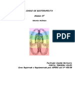 Módulo 07 - Terapia de Cura Prânica