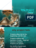 Why Project Fails