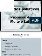 Cuidados - Paliativos - Processo de Morte Luto