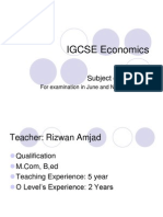 IGCSE Economics