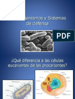 Microorganismos y Sistemas de Defensa