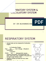 Rispiratory System & Circulatory System