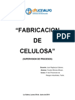 Fabricacion Decelulosa