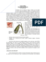 Fisiopatología Digestiva Litiasis