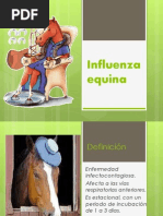 Influenza Equina