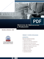 Análisis Del Proceso Productivo.