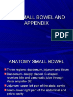 Powerpoint: Lecture 10, The Small Bowel and Appendix