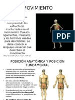 Planos y Movimientos Anatomicos