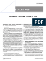 Fiscalizacion Entidades Sin Fines de Lucro