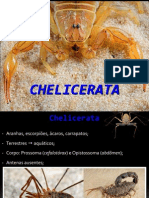 Chelicerata 2013