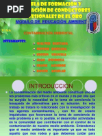 Exposicion Educacion Ambiental Sindicato de Choferes Quezada