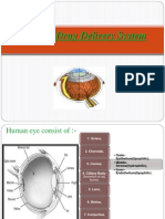 Ocular Drug Delivery System