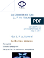 GERARDO DUEÑAS La Situacion Del Gas (LP Vs Nat)