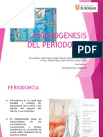 Embriogenesis Periodonto