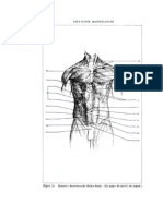 58 Soft-Tissue Manipulation: Figure 2a