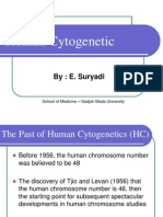 Human Cytogenetic