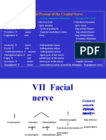 Orign and Passage of The Cranial Nerve