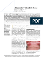 Intertrigo and Secondary Skin Infections