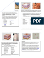 Atlas de Dermatologia