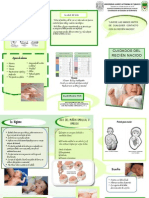 Triptico Charla Cuidados en El Recien Nacido