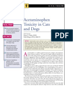 C+F-Acetaminophen Toxicity in Cats and Dogs