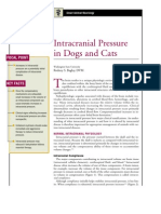 C+F-Intracranial Pressure in Dogs and Cats