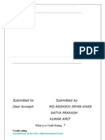 Credit Rating Finance Assignment