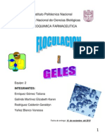 Gel PDF