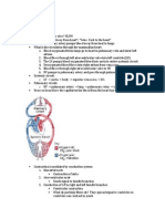 Circulation Worksheet