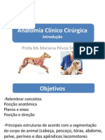 Aula 1 - Anatomia Clínico Cirúrgica - Introdução PDF