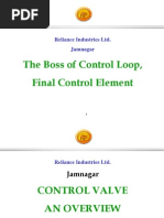 The Boss of Control Loop, Final Control Element: Reliance Industries Ltd. Jamnagar